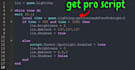 develop and script a professional roblox game