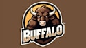 design an awesome buffalo head logo