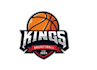design a professional basket ball logo