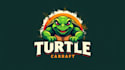 make an amazing turtle sport logo design