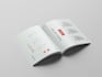 design brand style guide for company