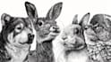 create ink drawings of animals and pets