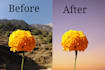 do images to PDF, background change,image resize,poster making