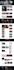 build an autoblog website with adsterra ads SEO optimization and fast loading