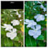 professionally edit photos using adobe lightroom