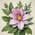 best botanical illustration art
