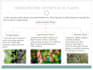design professional powerpoint presentations and slides