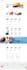 develop a highly profitable dropservice website for your online business