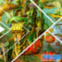flash 2d animation,GIF animation,advertising animation,ai animation