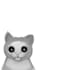 draw cute cats, memes, pets any cat