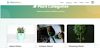 build a website as full stack web developer, web development