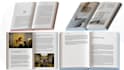 be your expert canva designer