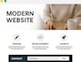 design , redesign and develop modern custom website with HTML,CSS,js