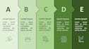 do the power point presentation designing