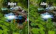 remove unwanted objects from photos professionally