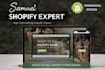 build a professional shopify store