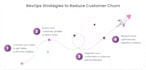audit and optimize your business model