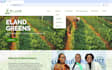 redesign or design a custom website or online store for you