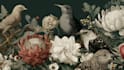 draw animal and botanical illustrations