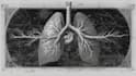 create medical illustrations for you