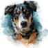 draw watercolor pet portrait