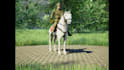 create game ready 3d characters with clean topology