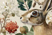 illustrate best botanical illustration