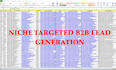 do niche targeted b2b lead generation using linkedin and web research expert