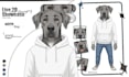 create and rig stunning custom furry live 2d vtuber model for vtube studio