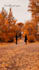 make beautiful and professional wallpapers