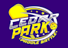 design original pickleball logo