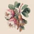 draw a botanical illustration