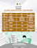 do flyer, logo, website and app development
