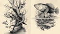create pen and ink drawings and custom illustrations