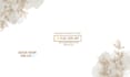 design creative social media posts using canva