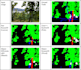 do classification, regression, clustering, image processing, sentiment analysis