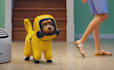 3d pixar disney style animation 3d pixar animation 3d pixar style animation