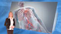 create 3d medical animation video, human anatomy, procedure, and explainer