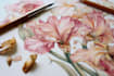 illustrate outstanding botanical illustration