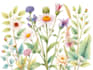 illustrate best botanical illustration
