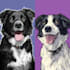 create a pet portrait into cartoon vector