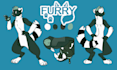 draw furry character reference sheet oc furry art reference sheet illustration