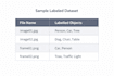 do accurate video and image annotation for ai projects