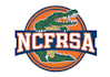 design modern crocodile logo