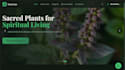 create a custom website