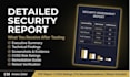 perform web application penetration testing and security audit