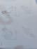 do handwritten assignment works