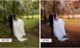 professionally edit your photography session