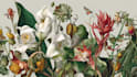 illustrate best botanical illustration