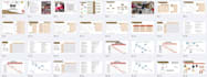 design a professional presentation for school or business